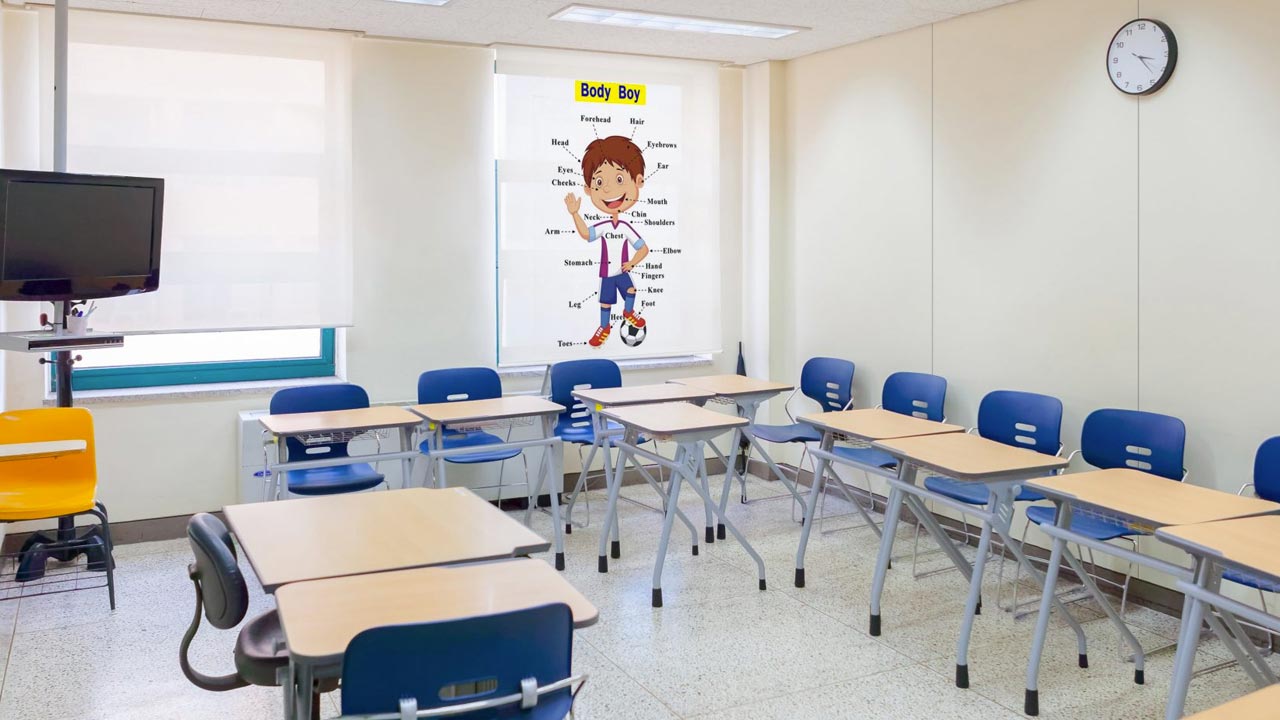 Printed-Roller-Blinds Printed-Roller-Blinds
