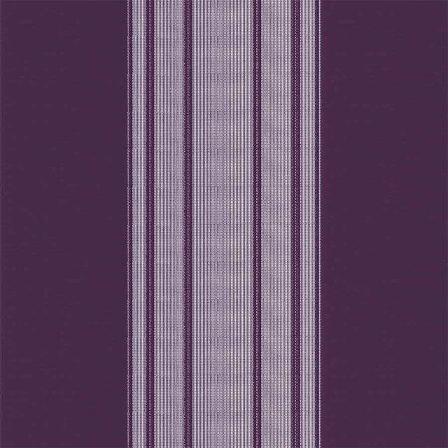 Stripe Purple